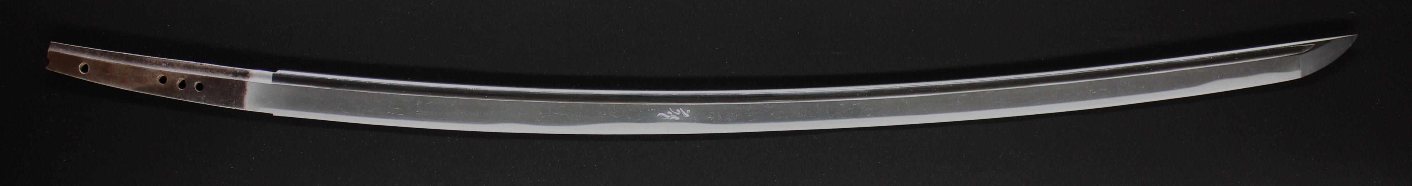 �����S�g2