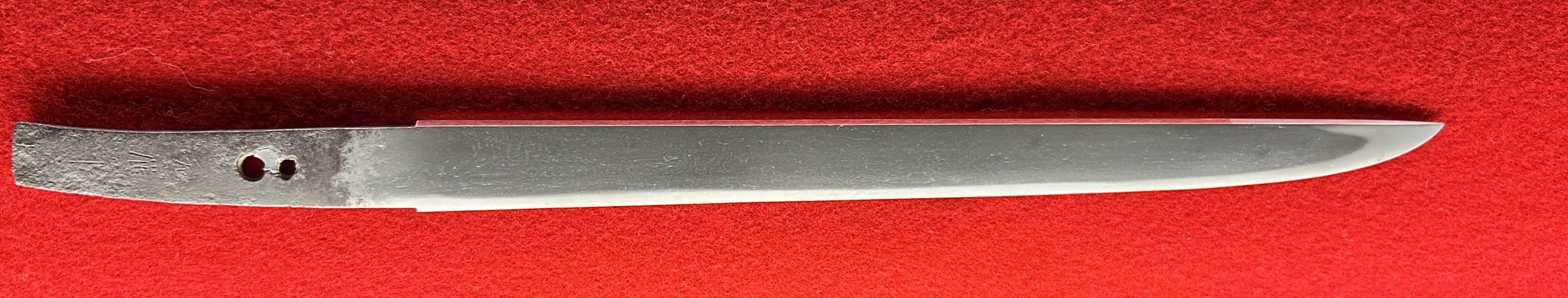 �����r�S�g2