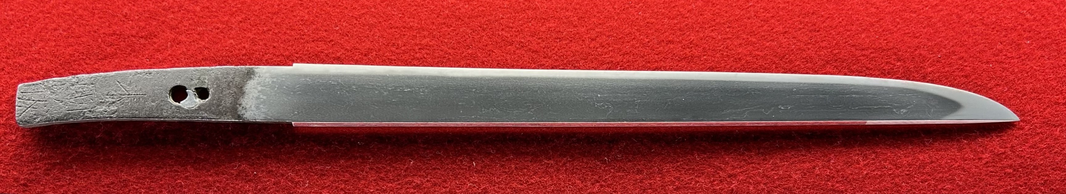 �����r�S�g1