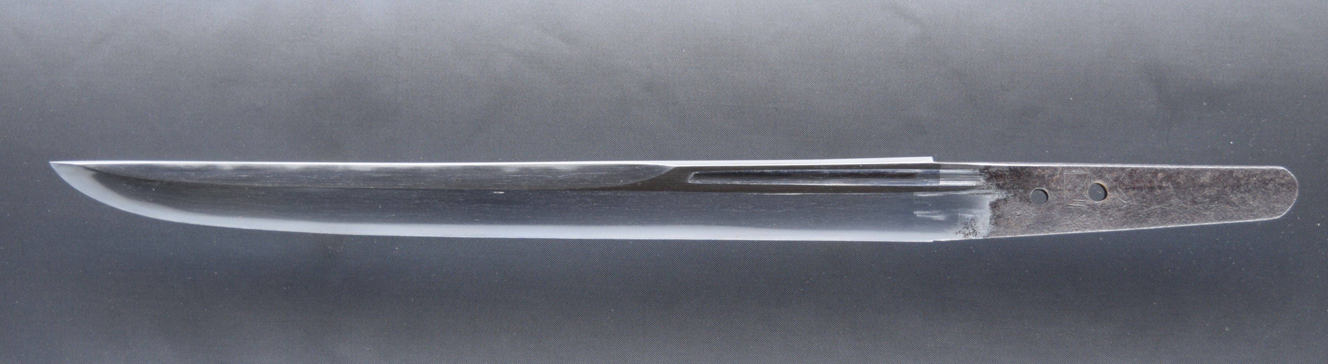 �����S�g�\